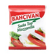 Bahçıvan Suda Top Mozzarella 125 Gr.