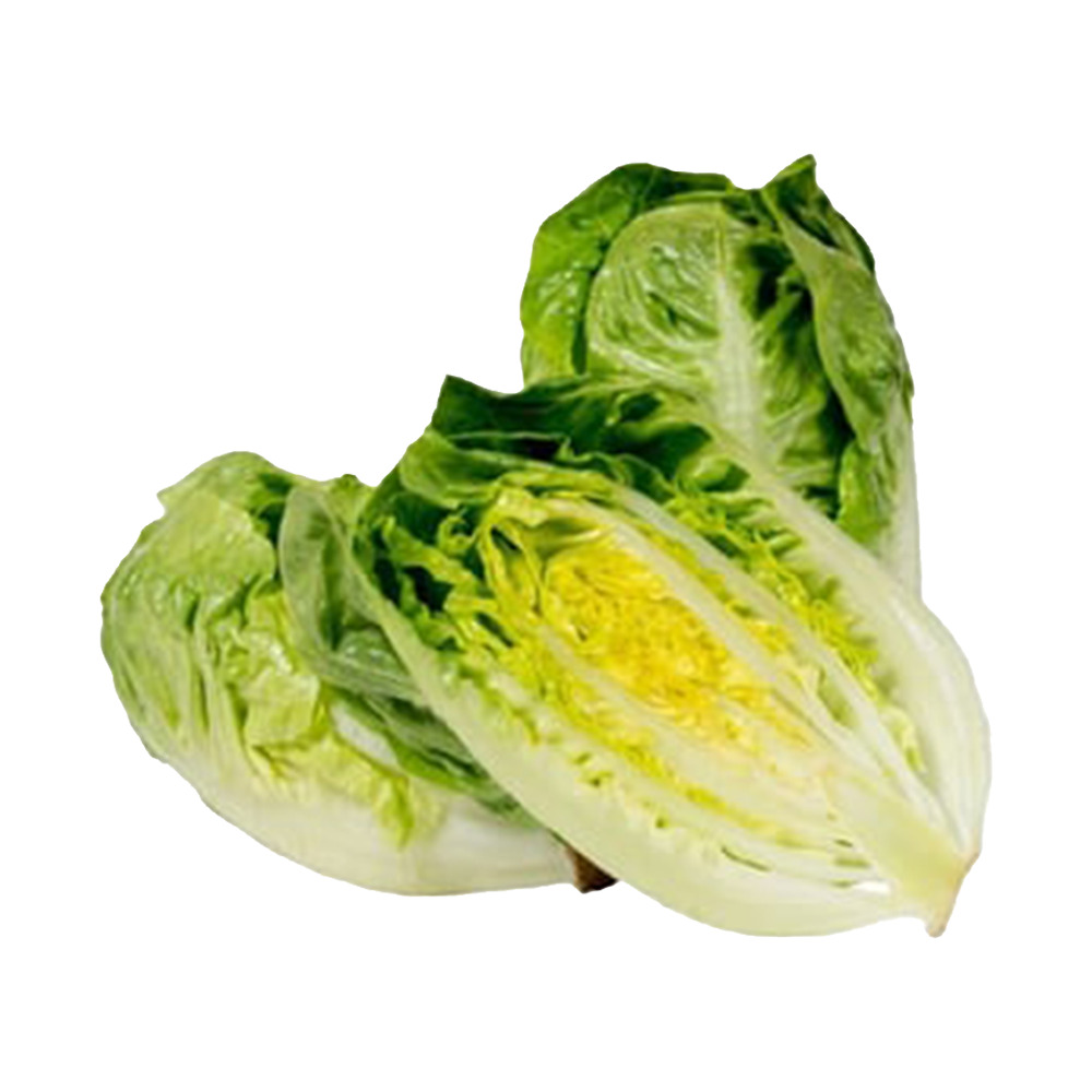 Greenada Mini Yedikule Paket