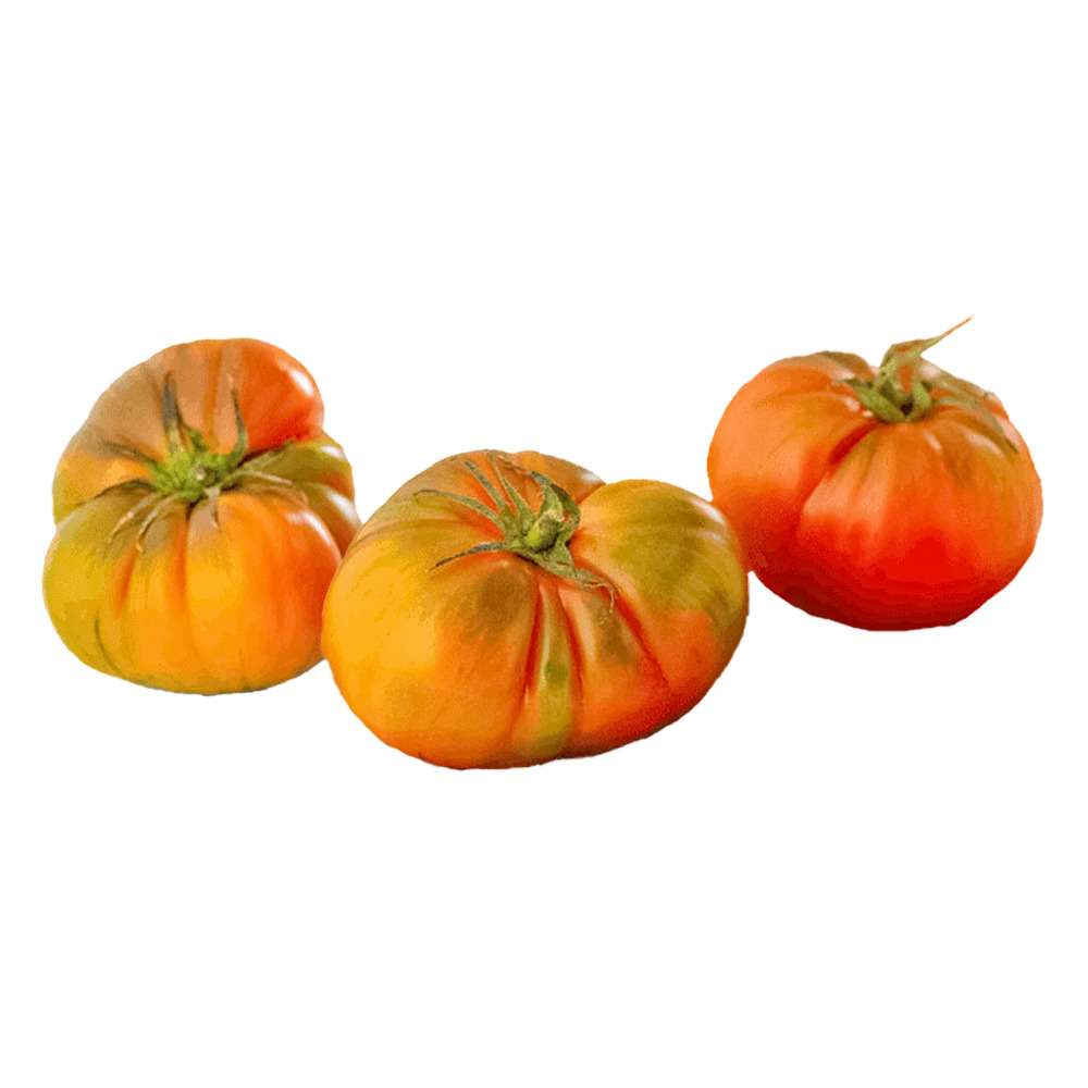 Domates Lapcın Süper Yerli Beef Kg