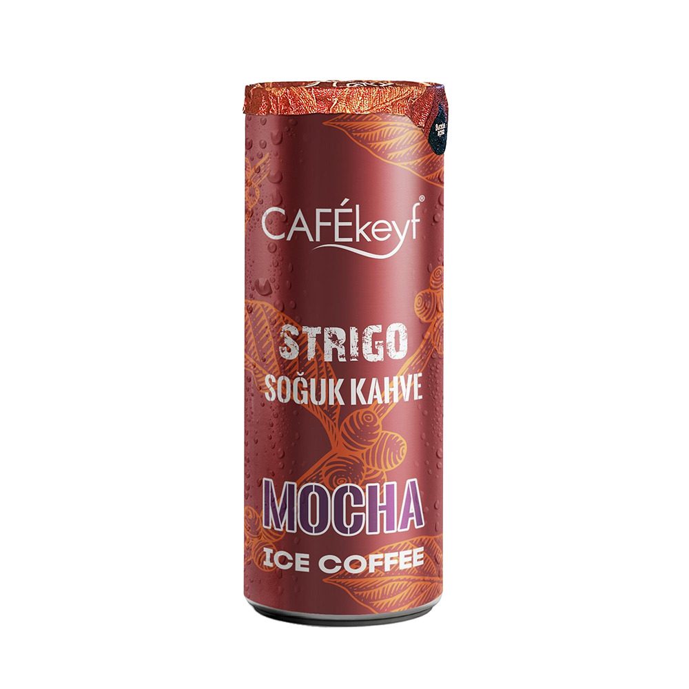 Cafekeyf Soğuk Kahve 250 Ml Mocha