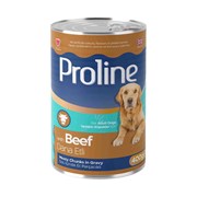 Proline Yetişkin Köpek Maması 400 Gr Dana Etli